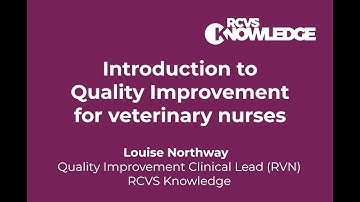 Introduction to Quality Improvement (QI) for veterinary nurses