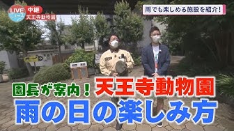 天王寺動物園 Youtube