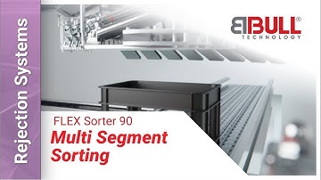 BBULL FLEX SORTER 90 | Automated rejection system for cartons or crates