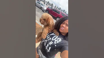 Rainy Friday Recap Back Home With Family Football Uncle B Good Eats Dog Mom Fyp 