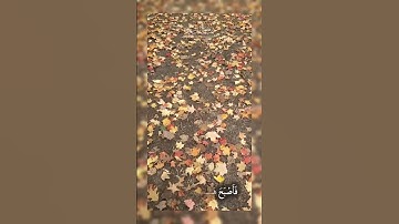 واضرب لهم مثل الحياة الدنيا - سورة الكهف - عبدالملك محمد