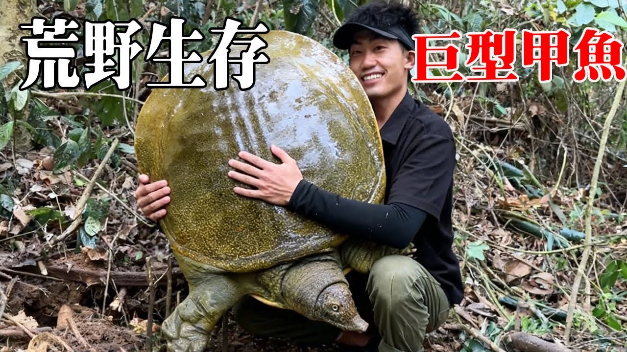 寮國熱帶雨林荒野生存10天！在小水窪抓到野田雞解決食物問題，下水抓到巨型甲魚一點不會餓著