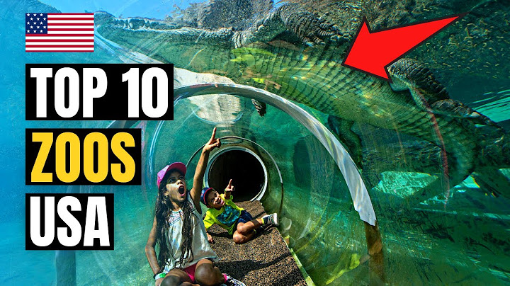 Top 10 Best Zoos to Visit in USA 2025