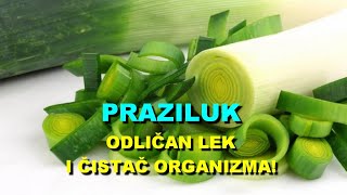 PRAZILUK - ODLI?AN LEK i ?ISTA? ORGANIZMA!