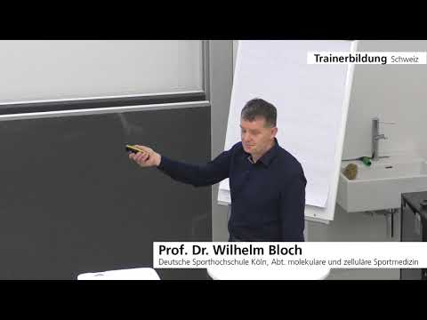 Wilhelm Bloch: Ermüdung und Regeneration des Muskelsystems