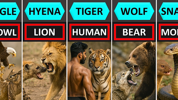 Animals and Their Worst Enemies
