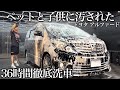 【洗車】10年間放置ペットと子供に汚された室内「トヨタ アルファード」を室内外装まで徹底洗車で甦らせる car detailing toyota alphard