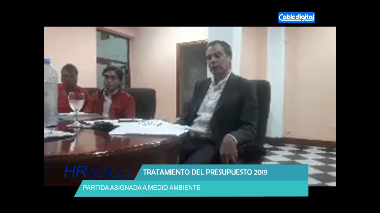 TRATAMIENTO DEL PRESUPUESTO 2019 PARTIDA ASIGNADA A MEDIO AMBIENTE huinca renaco