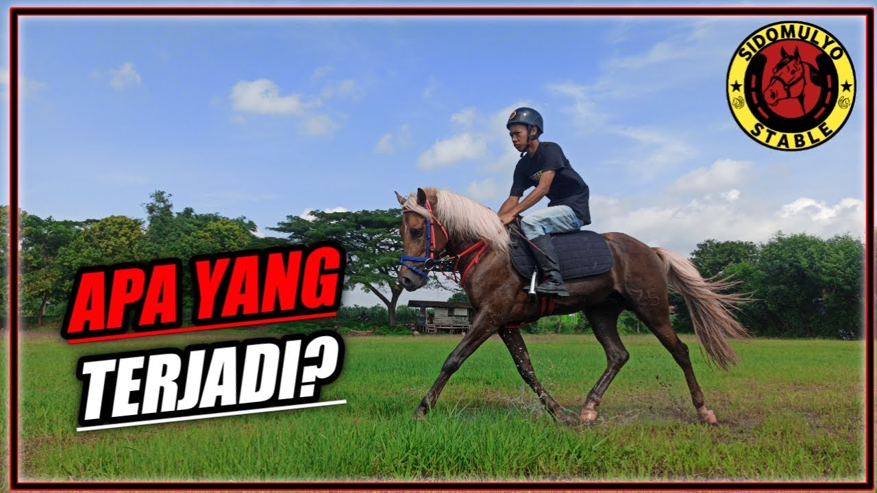 COBA TUNGGANG KING SEMERU PERTAMA KALI JINAK GAK YA??