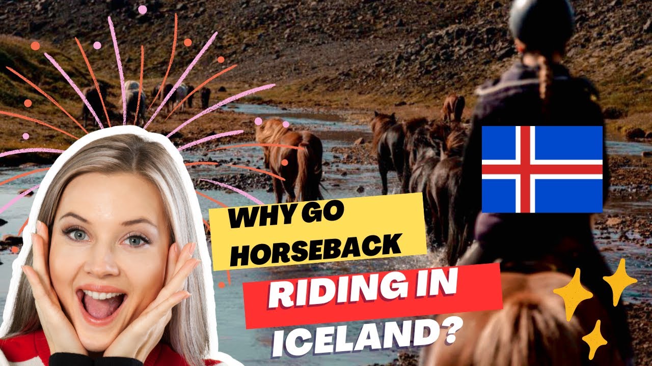 Iceland Horseback Riding Tour 🇮🇸