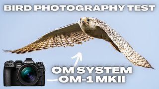 Testing the OM System OM-1 MkII for Flying Bird Photography!