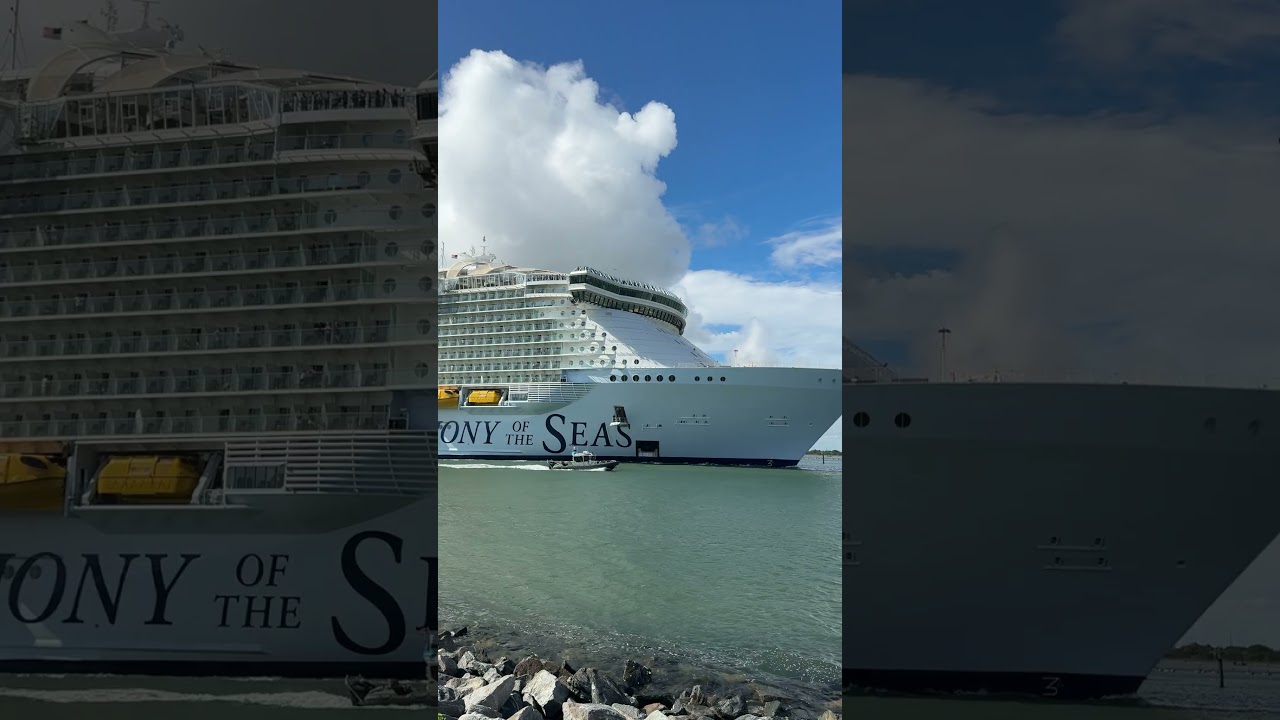 Harmony of the Seas sounding her horn! #shorts #harmonyoftheseas #royalcaribbean #cruiselife