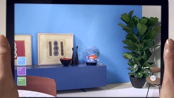 Dulux Visualizer - FISH