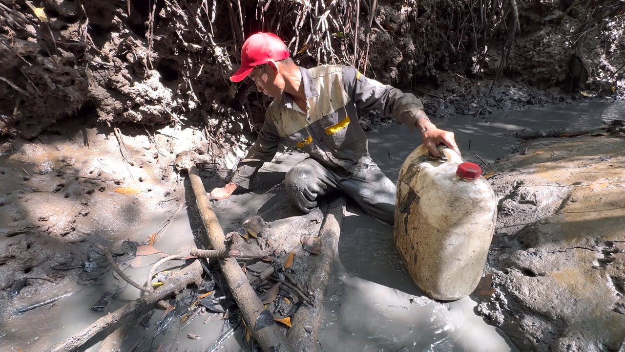 Đẩy Rạch Tôm Cá Nhảy Lia Chia Tha Hồ Mà Bắt