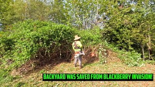 They Almost LOST Their Property To BLACKBERRIES! #satisfying