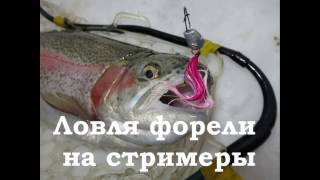 Ловля форели на платнике # 10 Стример