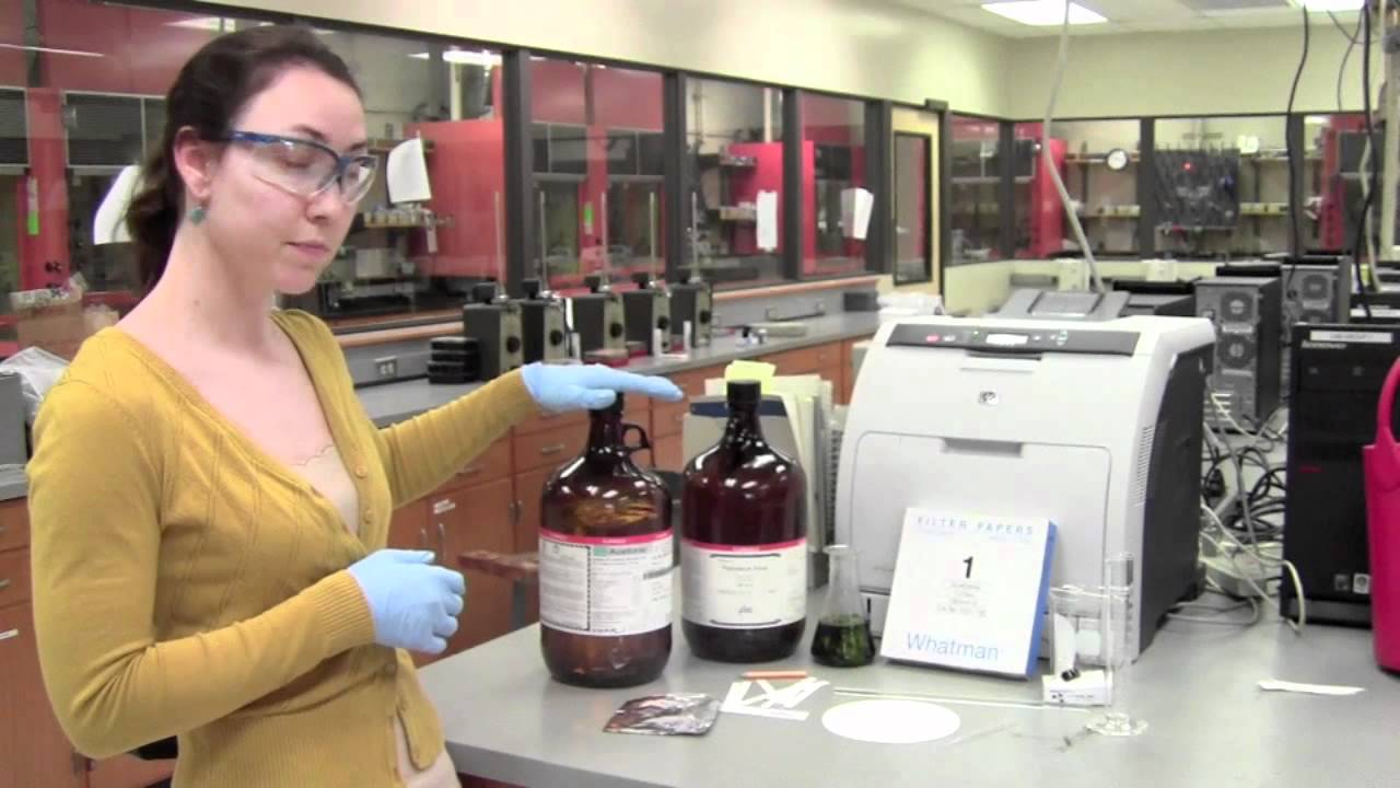 Juice from Juice Biology Chromatography Lab 2 of 3 YouTube