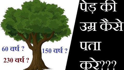पेड़ की उम्र कैसे पता करे??? | how to know tree age | fact in hindi