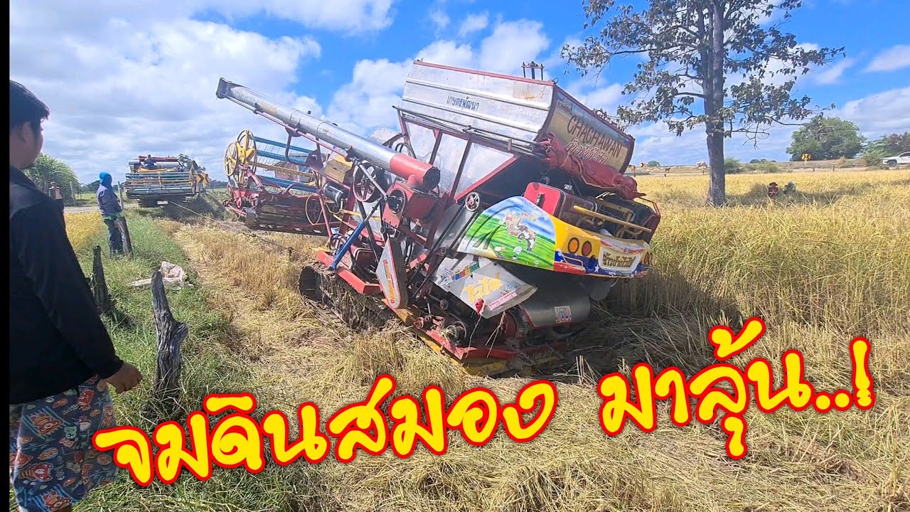 ย้ายรถเกี่ยวมาลาก จ้างช้างติดหล่ม‼️ จะขึ้นได้ใหมมาลุ้นกัน. ทีมจารย์หมูกระสัง จากพิโลก🌾