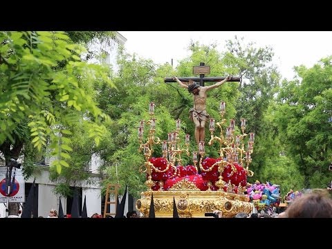 Real, Ilustre y Fervorosa Hermandad Sacramental de la Pura y Limpia Concepción de la Santísima Virgen María, Ánimas Benditas del Purgatorio y Cofradía de Nazarenos del Santísimo Cristo de la Salud, María Santísima del Refugio, Santa Cruz, Nuestra Señora del Patrocinio, Santa Bárbara y San Bernardo