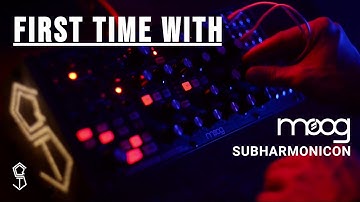 First time with Moog Subharmonicon