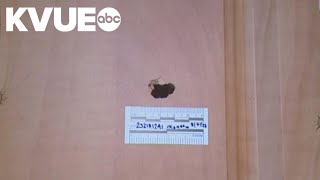 Southeast Austin couple sues over 2023 APD SWAT operation