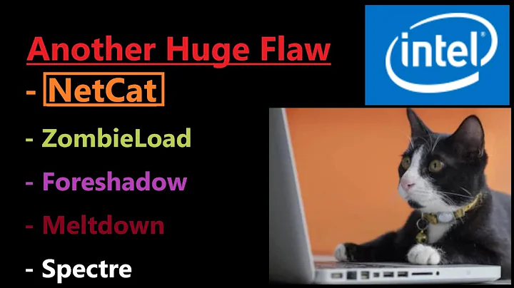 Unveiling Intel's NetCat Security Flaw: A Critical Analysis