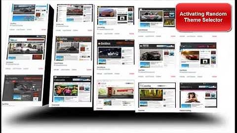 Viper Hosted - Wordpress Elite - Theme Library (Auto Installed)