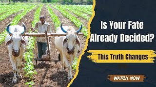 Is Your Life Already Written Destiny vs Free Will | #destiny #freewill #karma #bhagavadgita