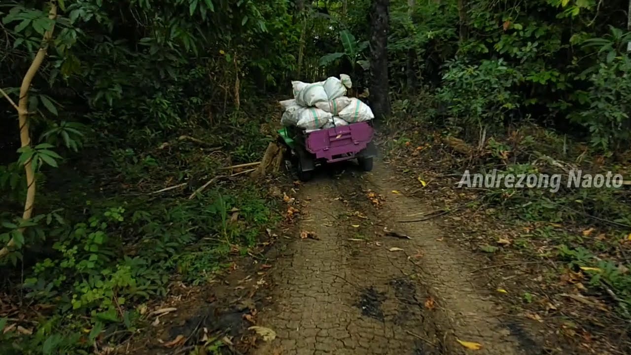 Kubota vs Yanmar #dompeng#ledok#grandong