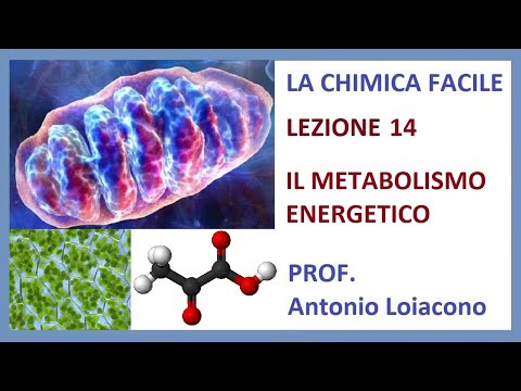 LA CHIMICA FACILE - Lezione 14 - Il Metabolismo Energetico
