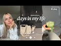 dm haul, neue Sportsachen & Party Snacks | DAILY VLOG