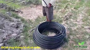 Hướng dẫn cách rải ống ldpe phi 20 (việt an nông)