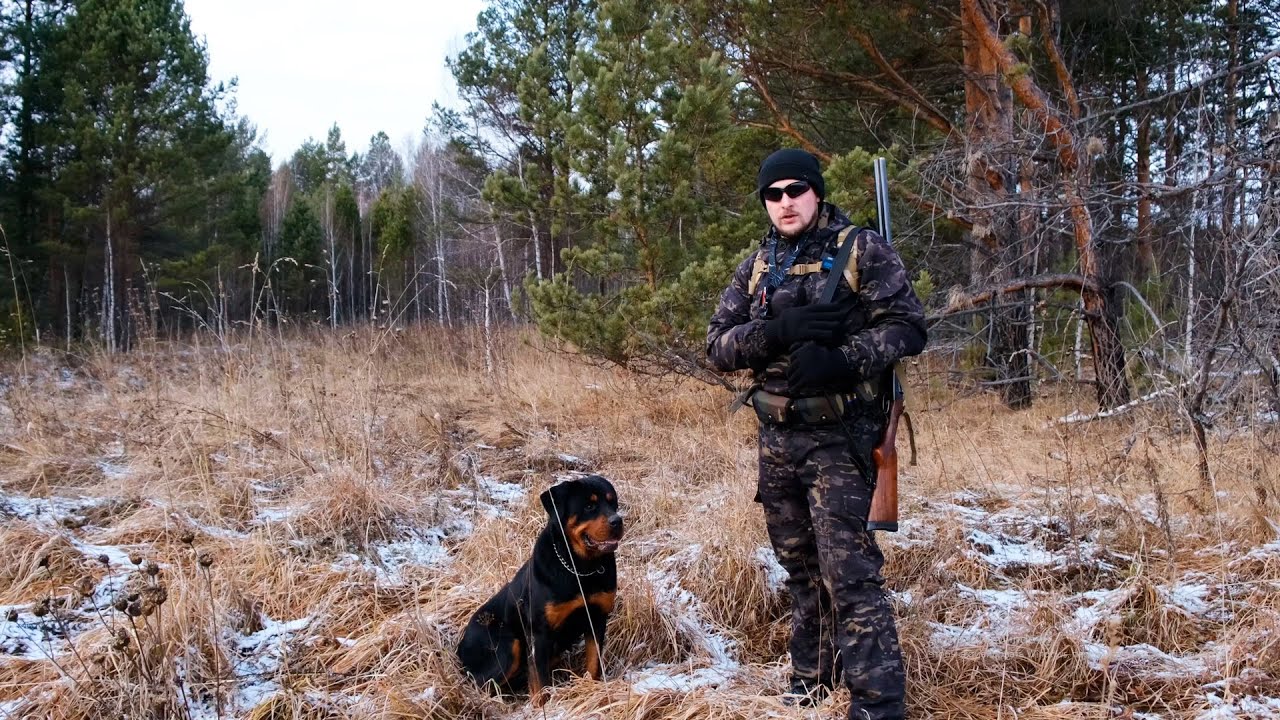ОХОТА В ТАЙГЕ. ПРОВЕРЯЮ ПЕТЛИ НА РЯБЧИКА С ПОМОЩЬЮ НАВИГАТОРА ...