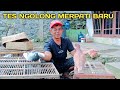 KENCENG JUGA NIH BURUNG‼️TES TERBANG MERPATI BARU
