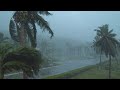 Having A Good Sleep Instantly 🎧 Hurricane &amp; Rain Sounds in Resort | Ambient Noise to Fall Asleep