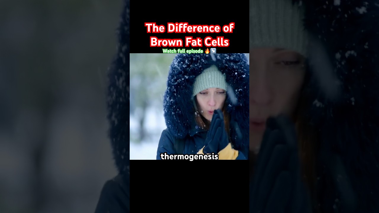 The difference of brown fat cells #health #facts #science #shorts #foryou #doctor #heat #brownfat
