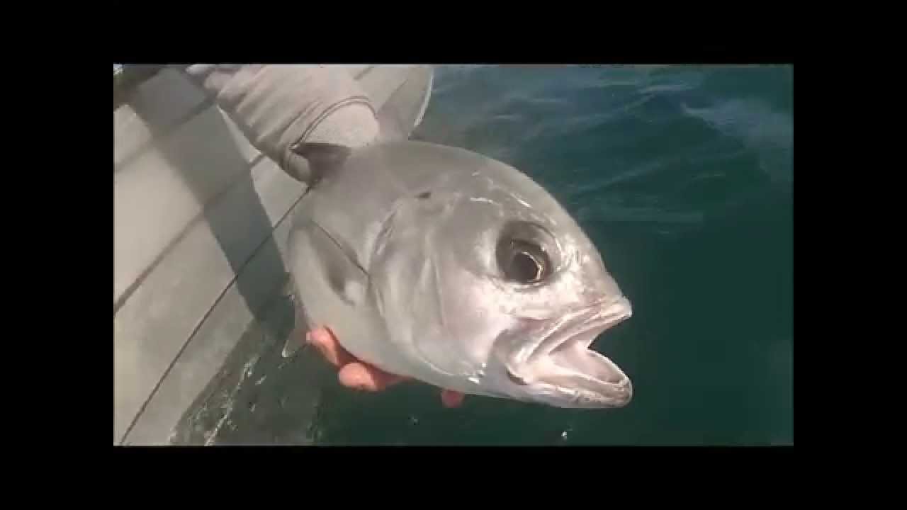 Gold Coast Seaway September 2015 camera iphone 8 plus apk