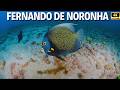 FERNANDO DE NORONHA | O Último Éden Vulcânico do Atlântico — A Ilha Que a Natureza Protegeu do Mundo