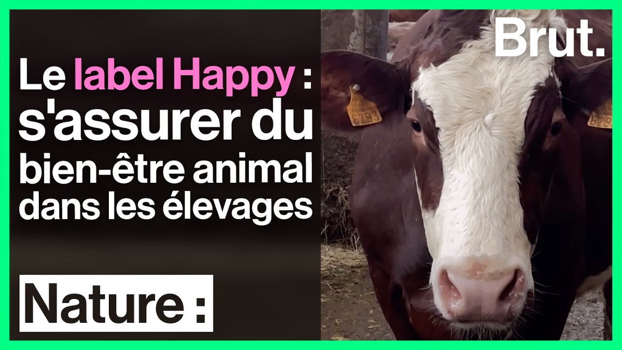 OBIONE : une bonne température et hygrométrie le bien-être animal