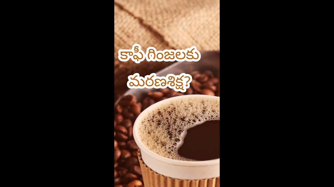 ☕ The Aromatic Journey of Indian Coffee: From Bean to Cup 🇮🇳 - YouTube