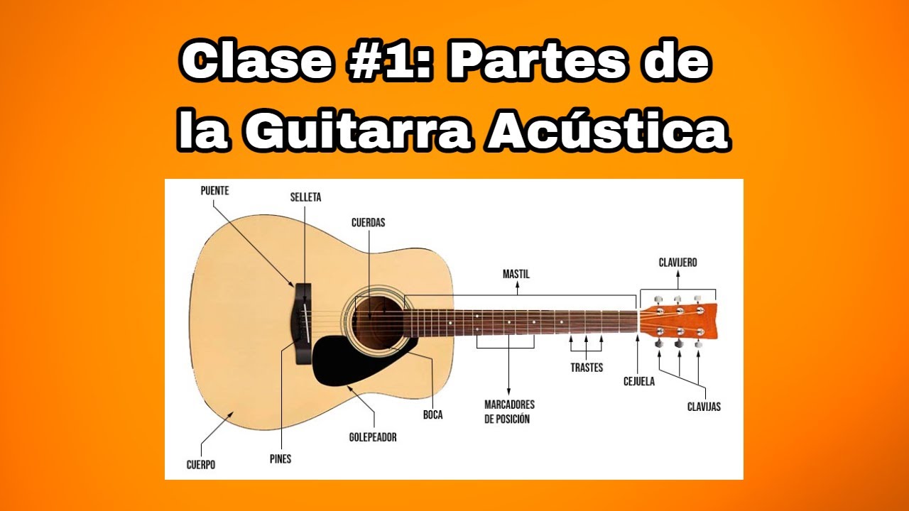 Clase de Guitarra Acústica #1: Partes de la Guitarra Acústica y sus  Funciones - YouTube