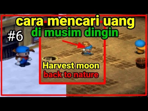 Video: Cara Menghasilkan Uang Di Musim Dingin