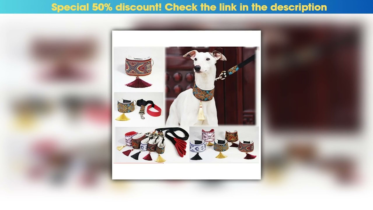 New Arrival Ethnic Style Leather Dog Collar Small and Medium-Sized Dog Collar Greyhound  Whippet co