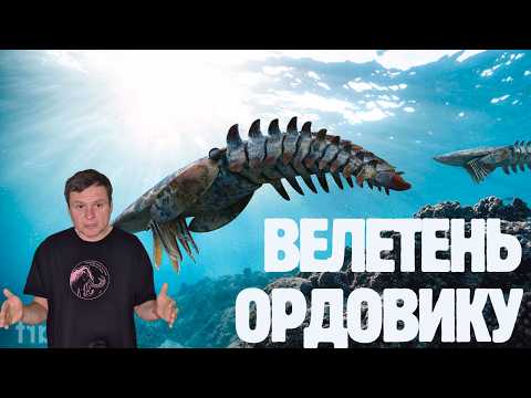 Aegirocassis: The Evolution of a Giant Ordovician Radiodont