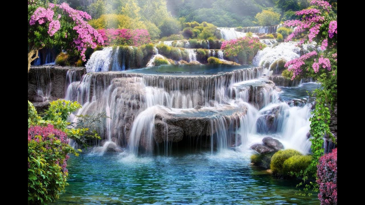 ВОДОПАД WATERFALL CLUB ПРОГРАММА АУКЦИОН