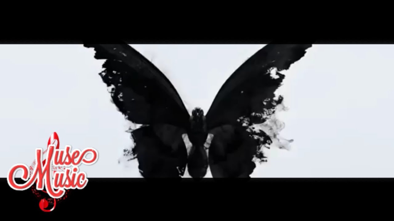 FMV Beginner "FLASH (X1)" Cover - YouTube