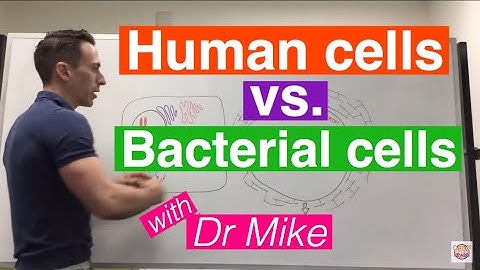 Eukaryotic vs. Prokaryotic Cells