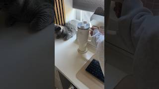 Organize My Desk With Me