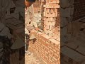 creative worker laying red bricks #shorts